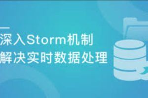 Java大数据实战 Storm构建实时流处理（完结）