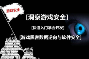 游戏安全逆向工程师：C语言速成-入门到精通【价值1980元】
