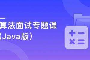 算法面试专题课(Java版)，Google面试官带你高质量刷题（完结）