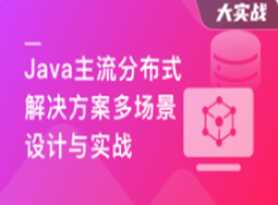 Java主流分布式解决方案多场景设计与实战