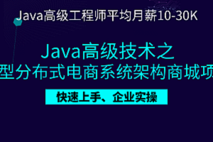 Java青橙商城前后台全栈开发项目实战与秒杀架构