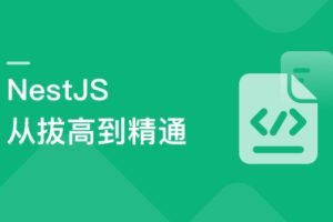 NestJS从拔高到精通，大型复杂业务架构落地实践（完结）