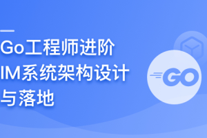 Go工程师进阶:IM系统架构设计与落地(高清同步)